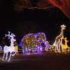 Winter Vista Illumination 2017
