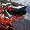 白駒池の紅葉