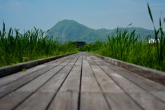 続くの道
