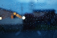 雨の玉