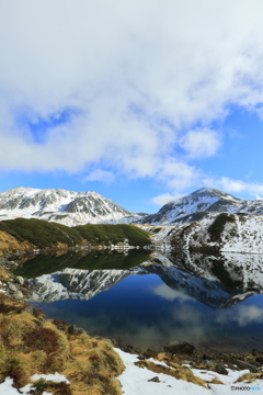 立山 みくりが池 2018 ①