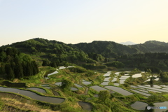 星峠の棚田　②