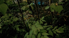 IMG_4572