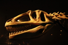 Fukuiraptor