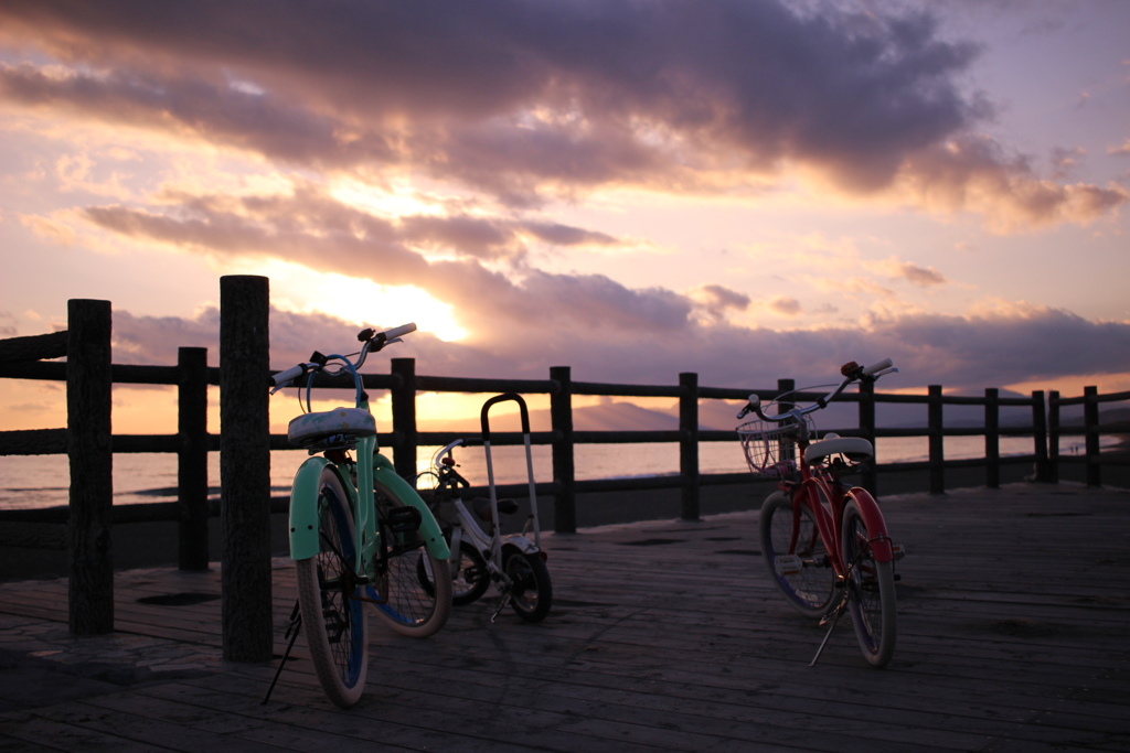 Bicycle