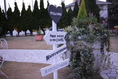 Happy Wedding