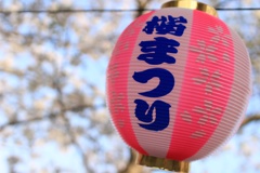 桜まつり