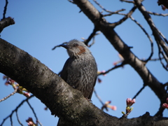 ロマンチスト