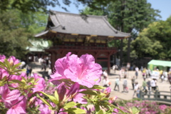 根津神社