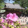 根津神社