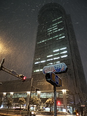 東京に大雪警報