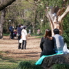 夫婦の形