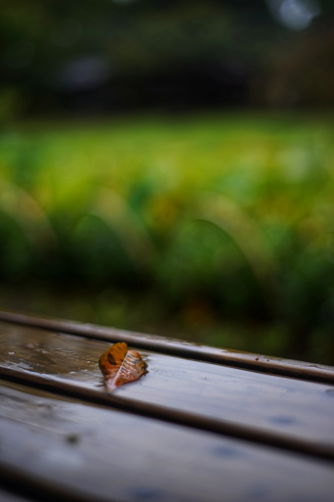秋雨