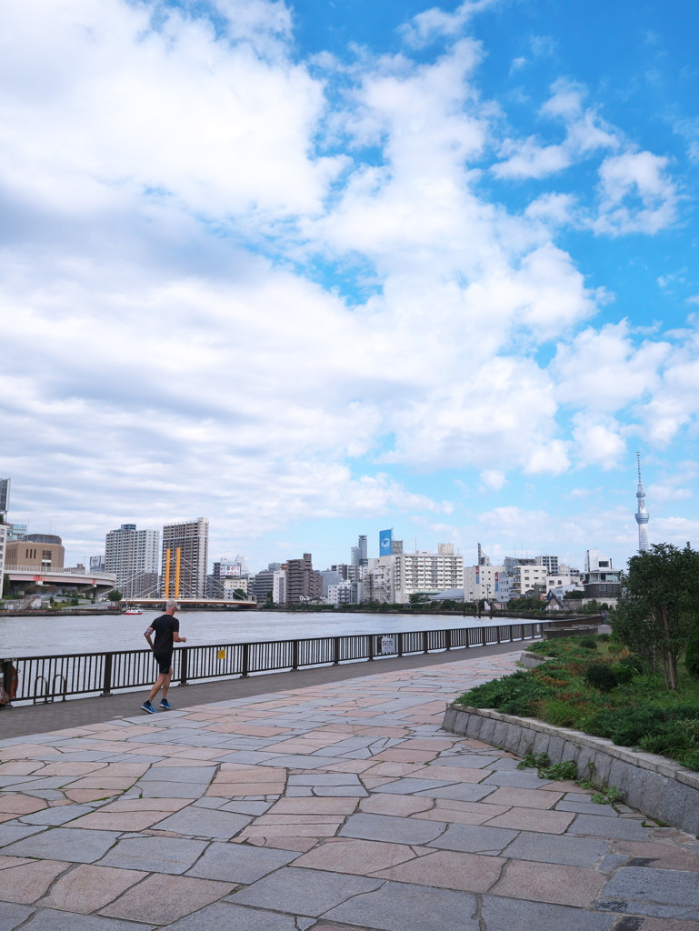 隅田川（１）