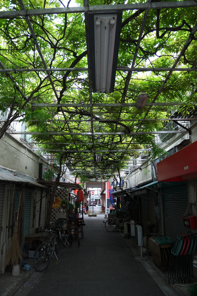 浅草　初音小路