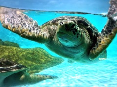 水族館にて