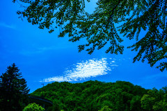 滝野すずらん公園　渓流口