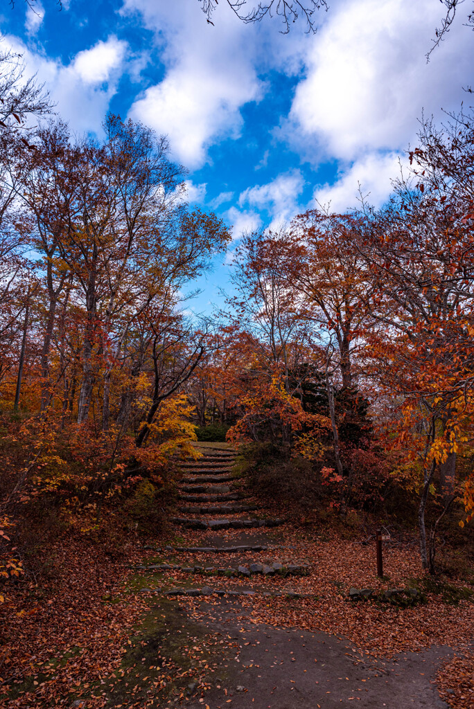 大沼公園