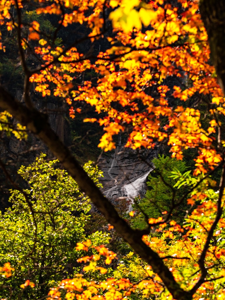 層雲峡紅葉