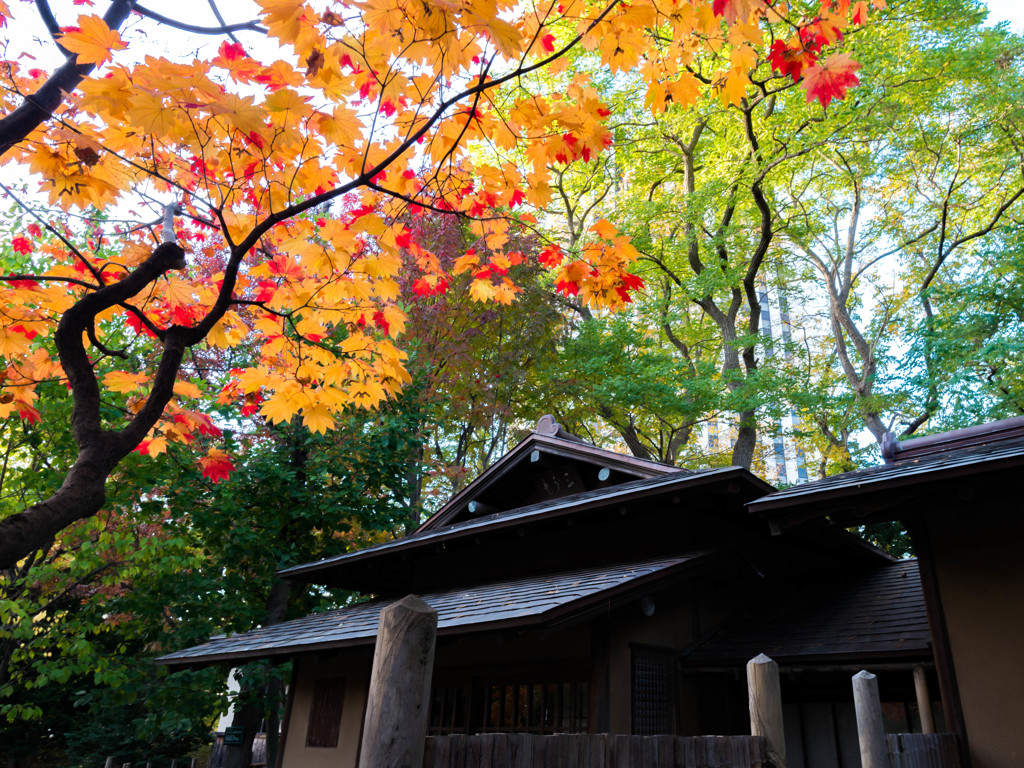 中島公園