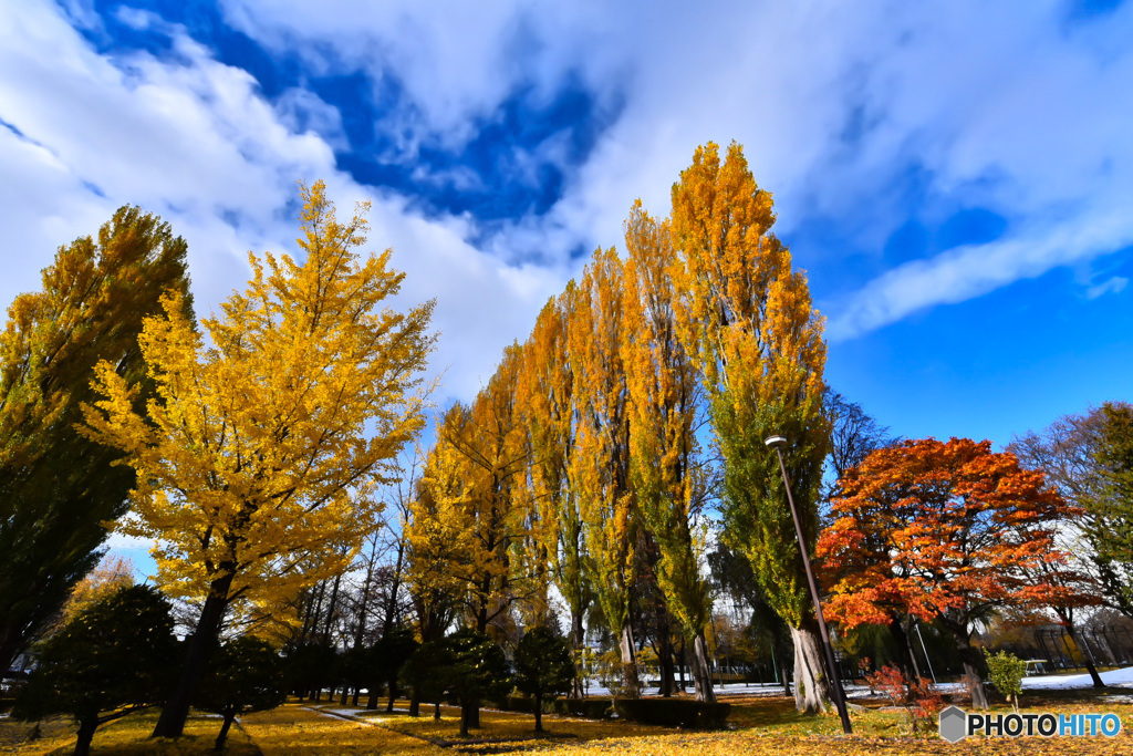 伏古公園