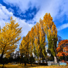 伏古公園