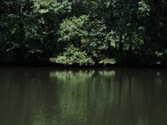 P7300026