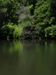 P7300023