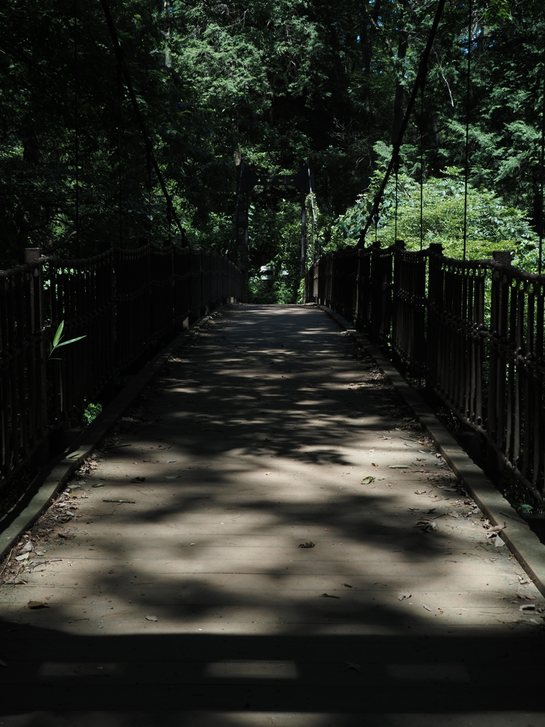 P7300007