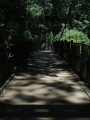 P7300007