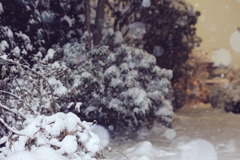 雪