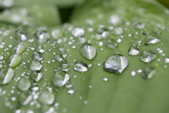 雨上がり