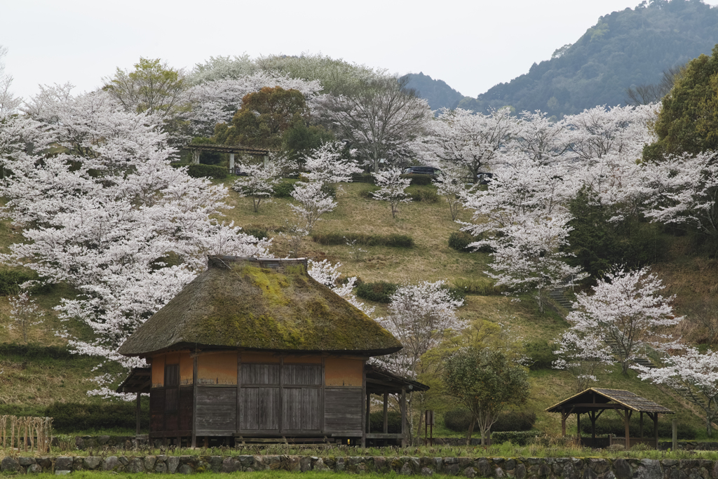 和泉式部公園