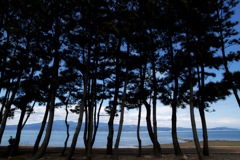 瑞穂から有明海を