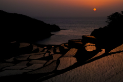 浜野浦の棚田