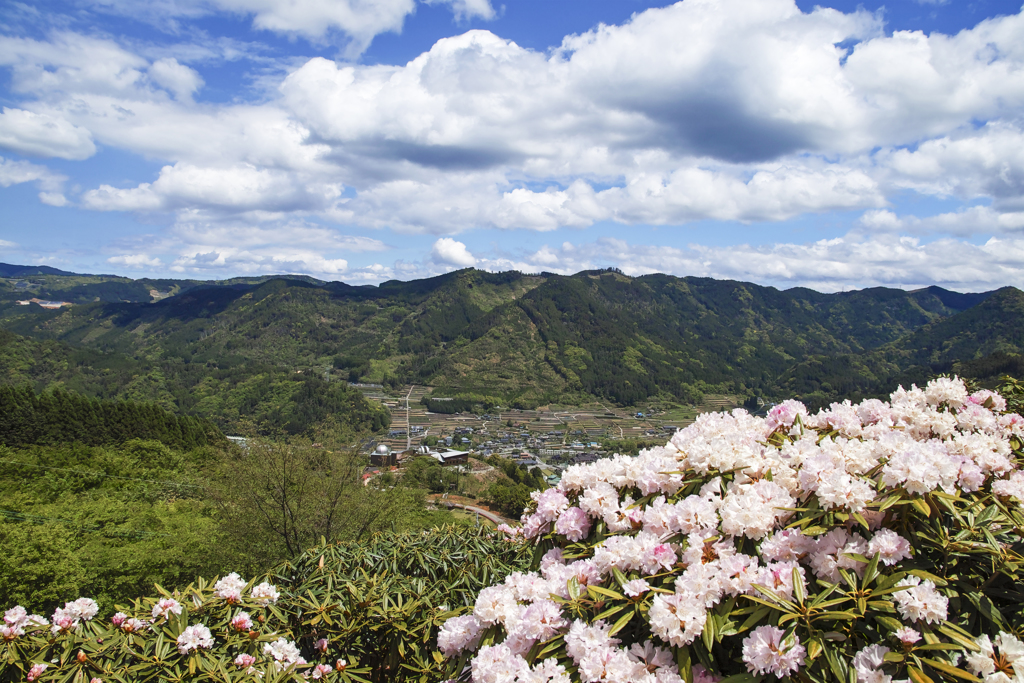 星野村を望む