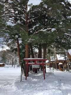 雪の社