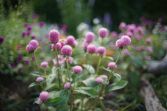 DSC05190