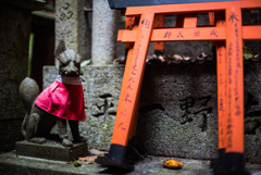 狐道