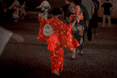緋蝶