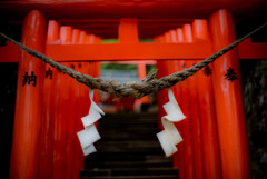 合わせ鏡