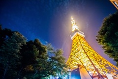 東京タワー2