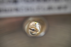 穴から覗き見