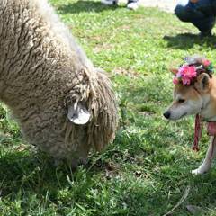 IMG_20170430_095017_354