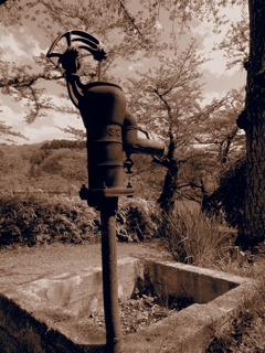 sepia