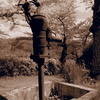 sepia