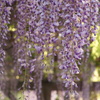 FD8D676F-878C-4A17-9314-7A949E11A270