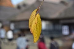 大内宿