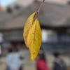 大内宿