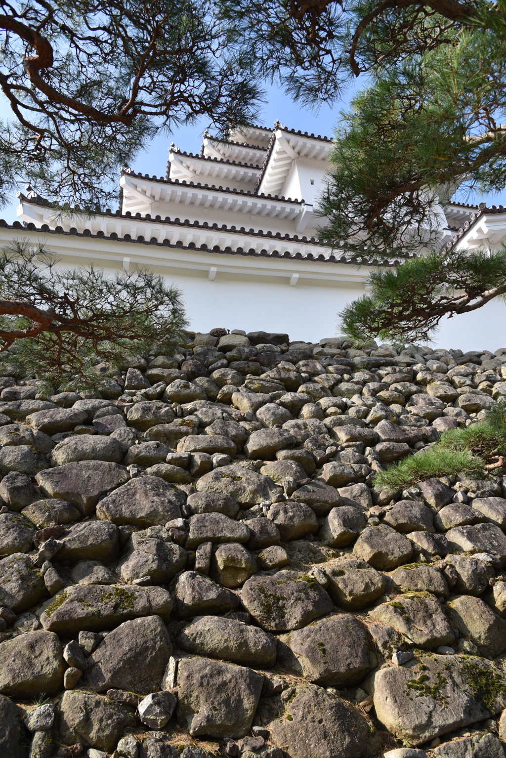 鶴ヶ城